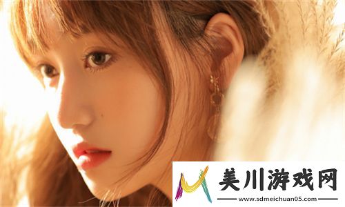 成品网站5668入口的功能介绍