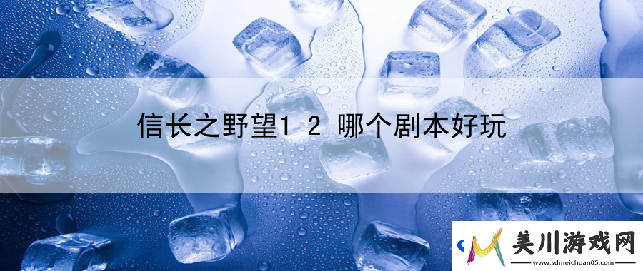 信长之野望12哪个剧本好玩